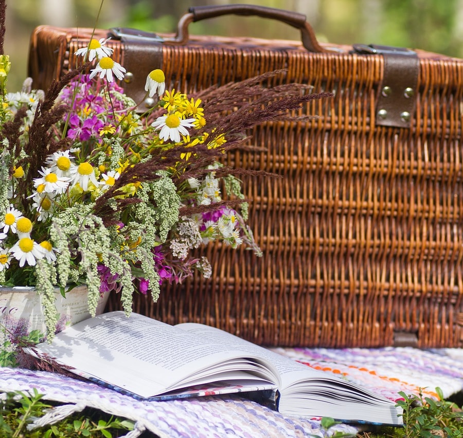 Packed lunches and Picnics