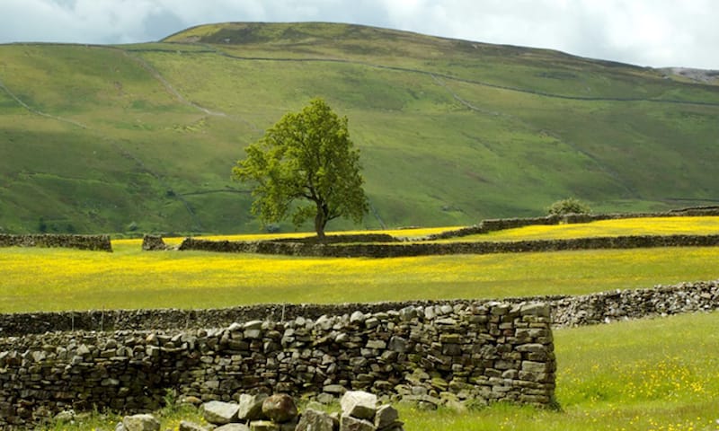 Swaledale Festival: More events added!